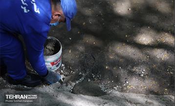 مبارزه با جانوران موذی 12