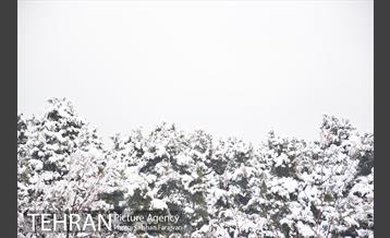 روز برفی تهران در بوستان ملت 23