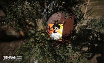 سنت حسنه درختکاری، یادبود شهدای منطقه6