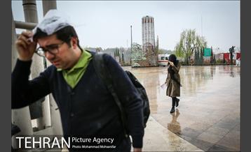 بارش باران بهاری در تهران 19