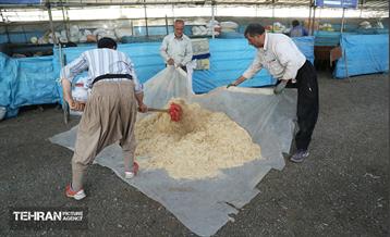 عرضه دام زنده بهداشتی ویژه روز عرفه و عید قربان 6