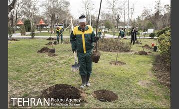 درختکاری و لانه گذاری کبوتر در بوستان بعثت 17