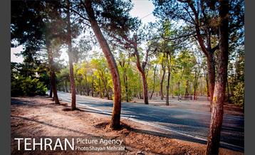 بوستان جنگلی چیتگر 30