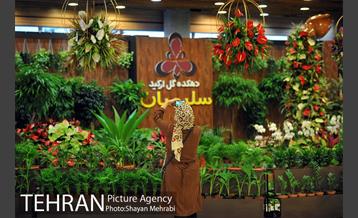 شانزدهمین نمایشگاه بین المللی گل و گیاه تهران - 2 29