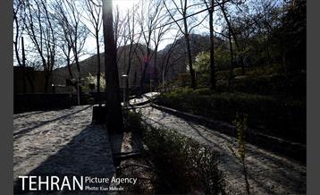 بوستان جمشیدیه (باغ سنگی جمشیدیه) 14