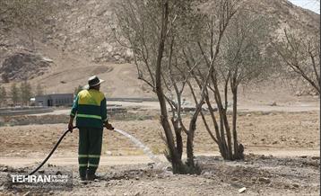 اینجا کارگاهه؛ پروژه بام ری 59