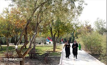 افتتاح پروژه‌های منطقه ۱۴ 27