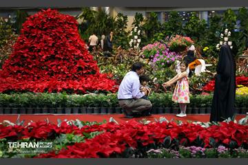 نوزدهمین نمایشگاه گل و گیاه تهران 43