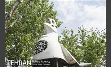 بوستان آزادگان 11