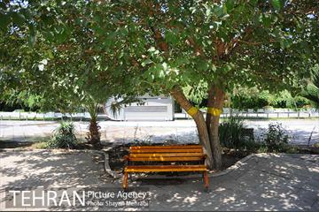 بوستان بسیج 1