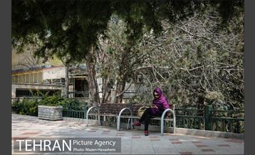 بوستان نیاوران در یک روز آفتابی 19