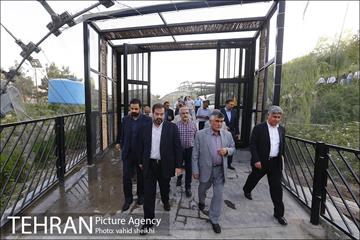 شبگردی اصحاب رسانه در منطقه چهار شهرداری تهران  2