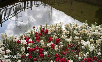 هوای بهاری منطقه 5 3