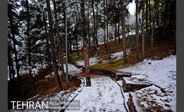 بارش برف پاییزی در بوستان طالقانی 27