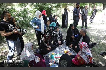 همایش پیاده روی خانوادگی در رود دره فرحزاد 17