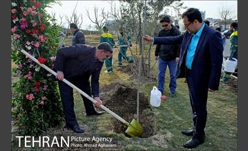 روز درختکاری در گنبد مینا 1