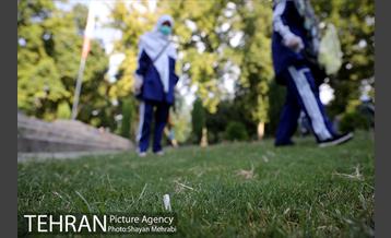 طرح پاکسازی پارک شهر تهران از فیلترهای سیگار  14