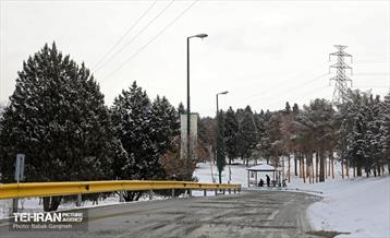 روز برفی در منطقه 13 13