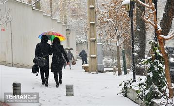 تهران برفی  13