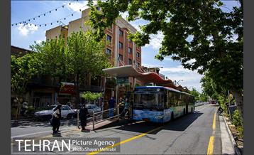 ولیعصر(عج)؛ خیابانی به درازای خاورمیانه 38