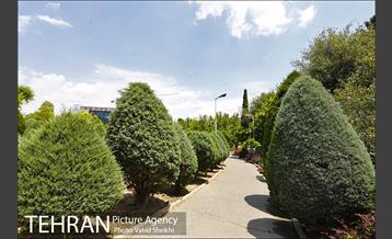 بوستان میعاد 4