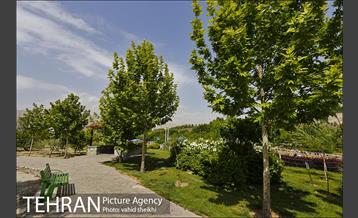 بوستان جوانمردان 22