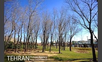 بوستان پلیس 55