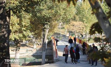 تور عکاسی بوستان بعثت 5