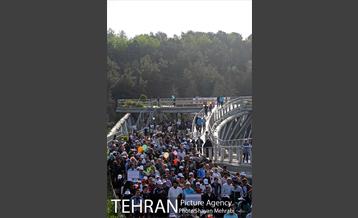 همایش پیاده روی خانوادگی کارکنان شهرداری 15