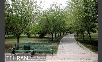 بوستان آزادگان 19