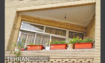 پنجره های شهر تهران 8
