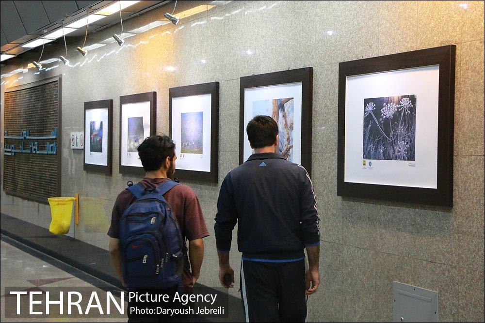 افتتاحیه نمایشگاه عکس چهار فصل کشور فنلاند 1