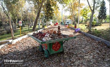 گذر پاییزی بوستان بعثت 30