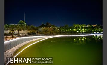 شب های باغ هنر 17