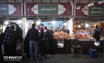 یازدهمین جشنواره صد دانه یاقوت 17