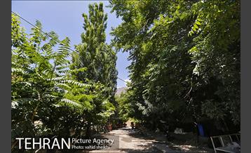 محله گلابدره تهران 14