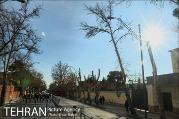 رکابزنی ‌پیروز حناچی و شهرداران کلانشهرها تا دفتر جهانگیری 41