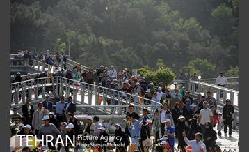 همایش پیاده روی خانوادگی کارکنان شهرداری 25