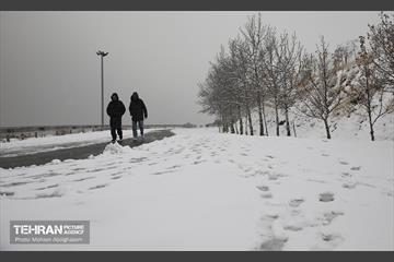 روز برفی تهران - 2 24