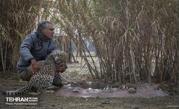 پیروز؛ پسر ایران 26