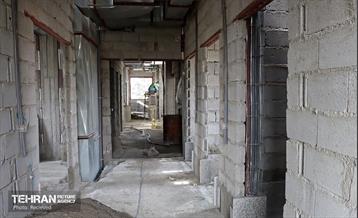 قرطینه-باغ-پرندگان