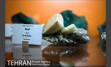 موزه علوم زمین‎ 11