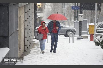روز برفی تهران 11