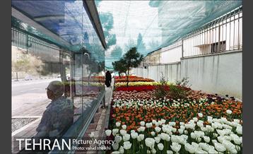 پیاده راه لاله برای مادران 33