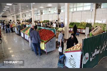 تور بازدید از میادین و بازارهای میوه و تره‌بار شهرداری تهران 40