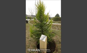 آیین درختکاری در بوستان گفتگو 15