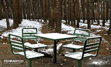 بارش برف زمستانی در بوستان سرخ حصار 6