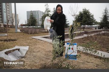 آئین روز درختکاری با حضور سفیران و نمایندگان کشورهای خارجی 9