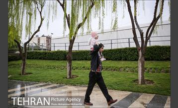 بارش باران بهاری در تهران 24