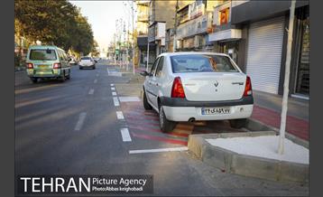 پارک خودرو‌ بین درختان چنار 10